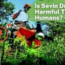is sevin dust harmful to humans
