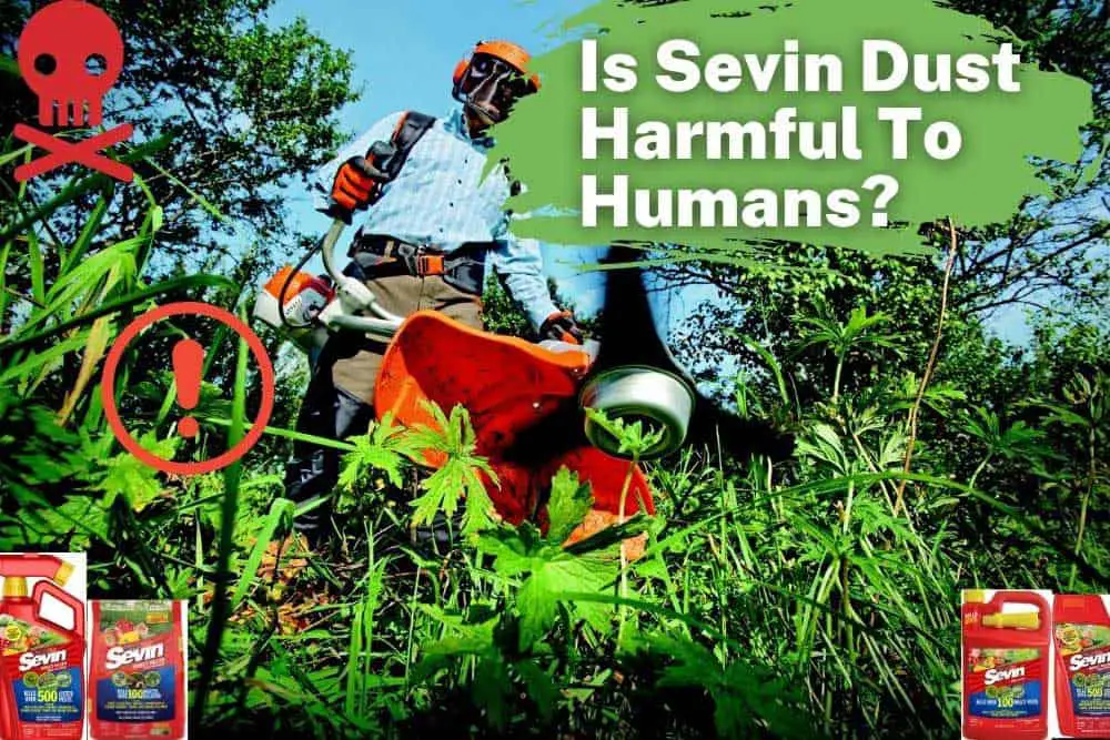 is sevin dust harmful to humans