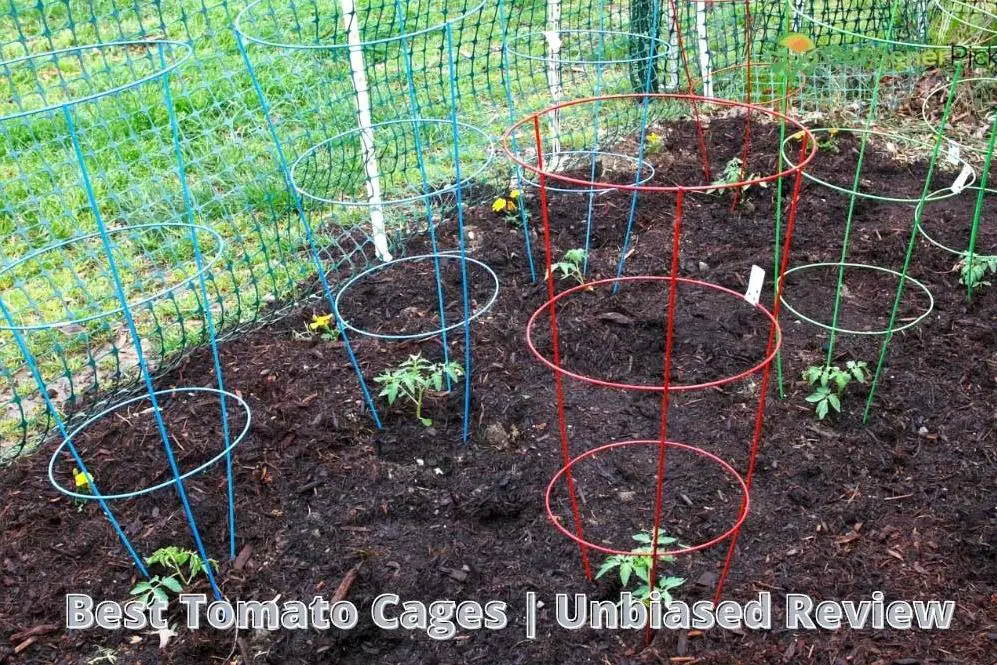 Best Tomato Cages