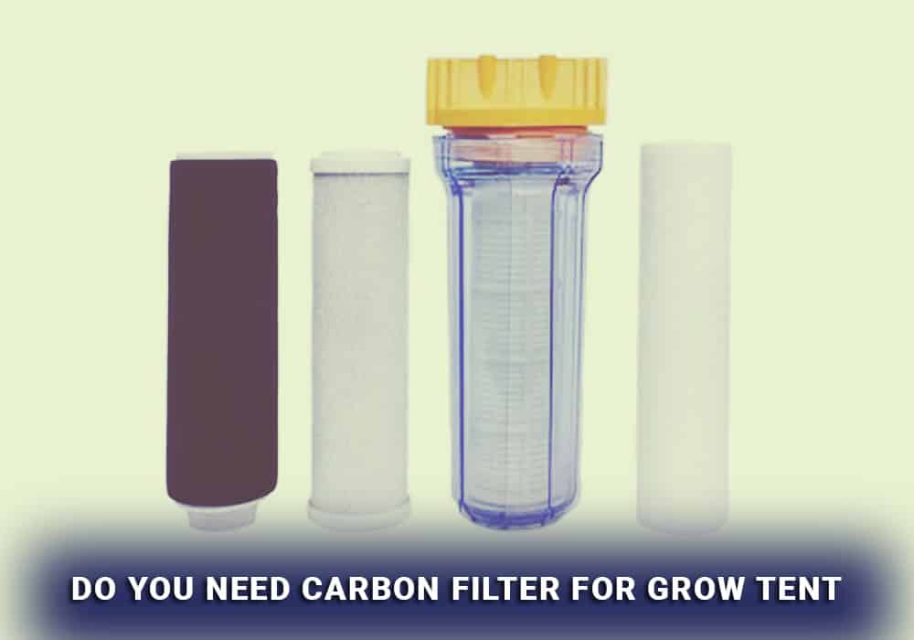 Do You Need Carbon Filter For Grow Tent?