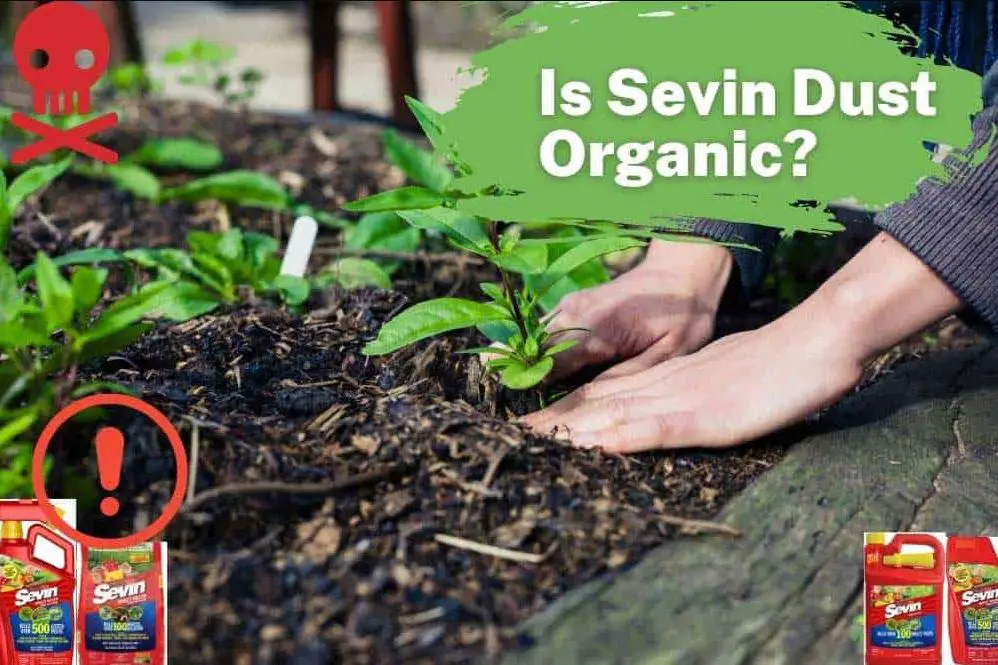 Is Sevin Dust Organic?