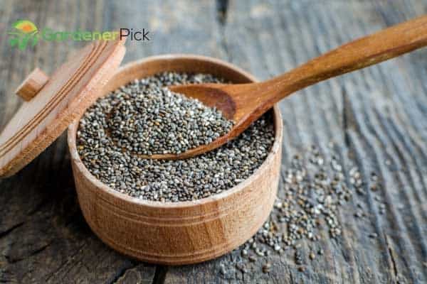 How Long Do Chia Seeds Last?