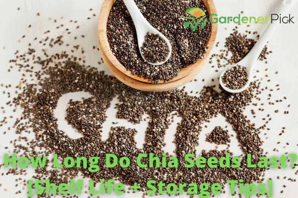 How Long Do Chia Seeds Last?