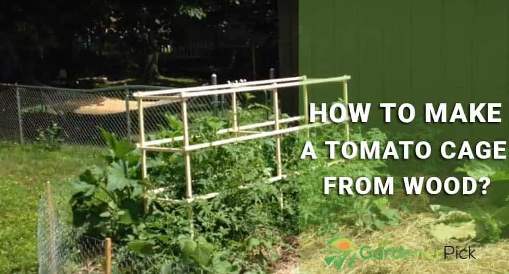 how to make tomato cages from wood