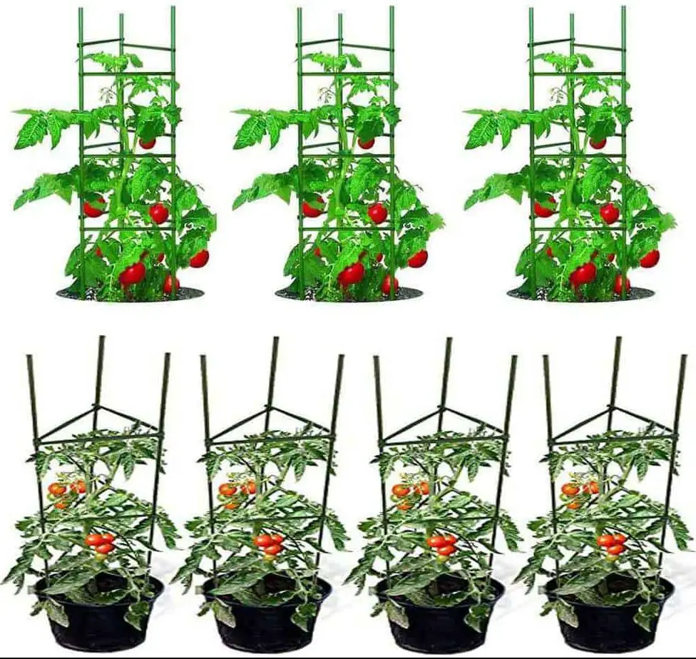 how to use a tomato cage in a container