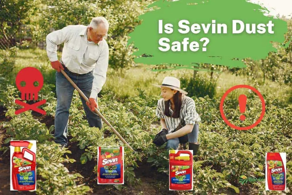 Is Sevin Dust Safe?