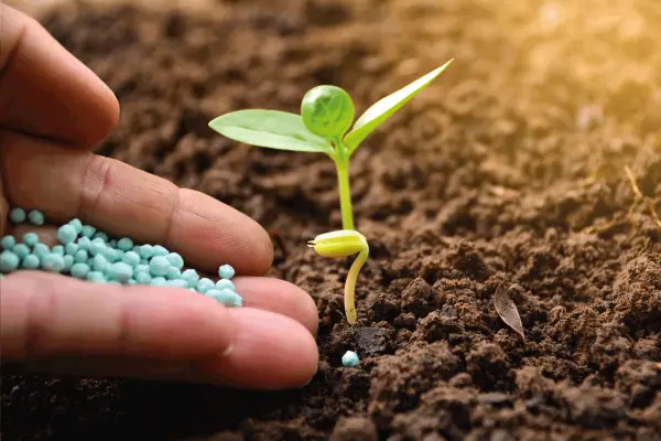 20-20-20 Fertilizer