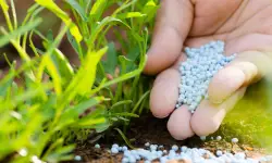 How to Use 10-10-10 Fertilizer to Boost Your Lawn and Garden