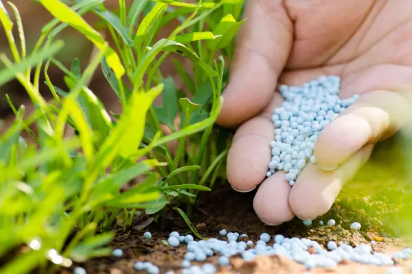 10-10-10 Fertilizer