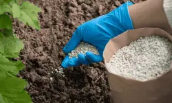 What Is 30-0-3 Fertilizer Used for and When to Apply It Best
