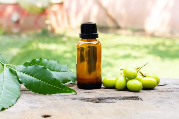 How Long Does Mixed Neem Oil Stay Good