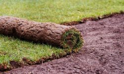 How to Lay Turf on Clay Soil the Right Way for Perfect Growth