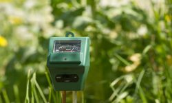 Soil Moisture Meter Tips for Perfect Watering