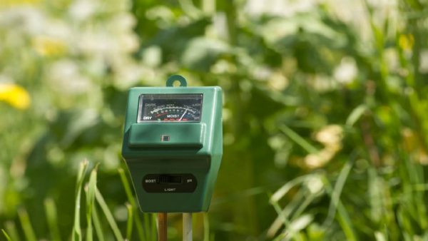 Soil Moisture Meter Tips