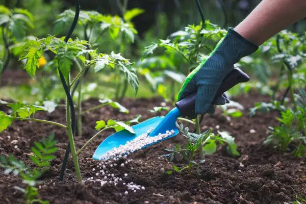 What Is 15-5-10 Fertilizer Used For