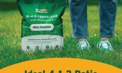 What Is 4-1-2 Fertilizer and Why It’s Perfect for Lawn Care?
