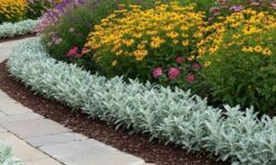 18 Easy, Pretty Plants for Garden Borders (Tried, Messy)