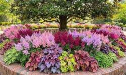 11 Low-Maintenance Plants That Look Great Under Trees