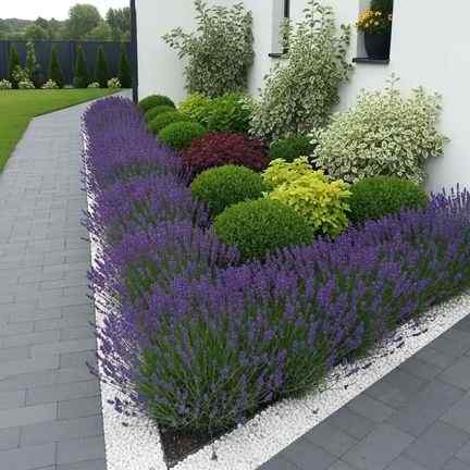 16 Lavender Border Garden Ideas For A Dreamy Walkway