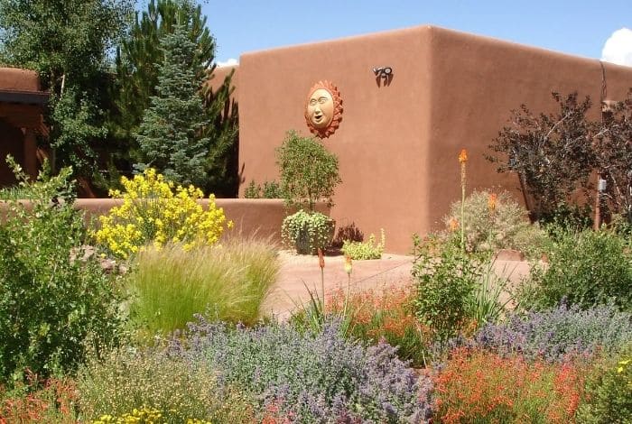 19 California Native Landscape Ideas To Boost Curb Appeal Fast