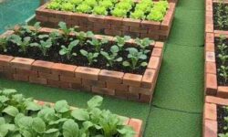 28 Vegetable Garden Border Designs That Stop Weeds Fast