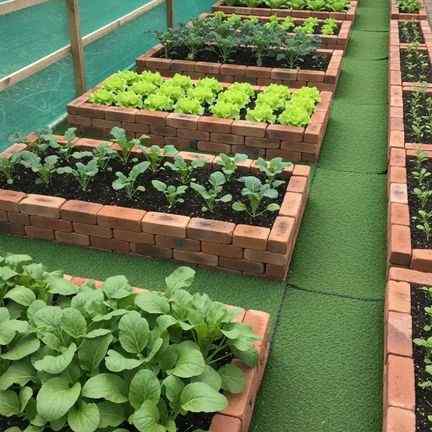 28 Vegetable Garden Border Designs That Stop Weeds Fast