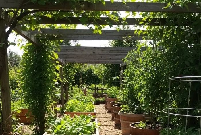 food forest garden backyards