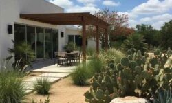 17 Low Maintenance Texas Front Yard Ideas That Look Amazing