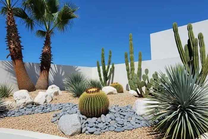 texas full sun landscaping