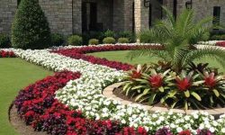 Top 20 Louisiana Front Yard Landscaping Ideas For A Stylish Home